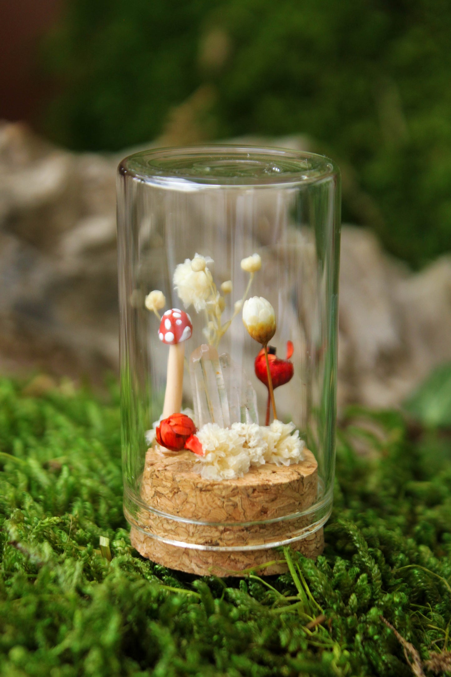 Miniature Mushroom Terrariums