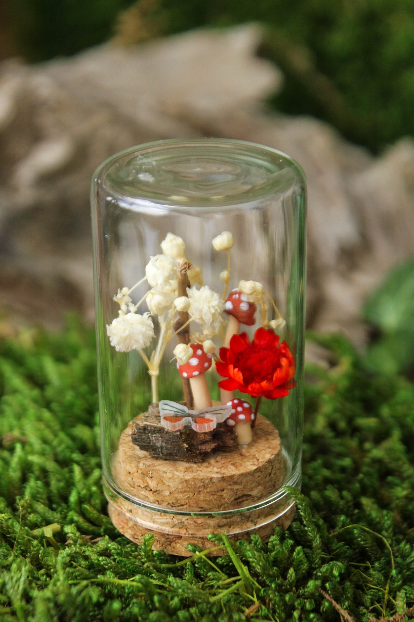 Miniature Mushroom Terrariums