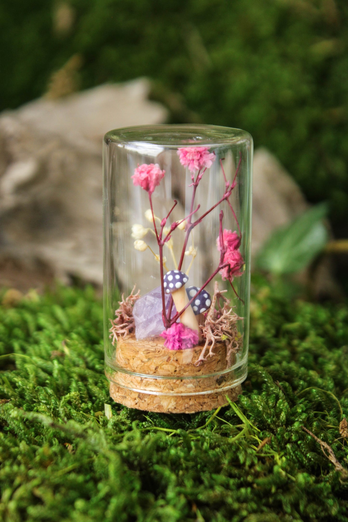 Miniature Mushroom Terrariums