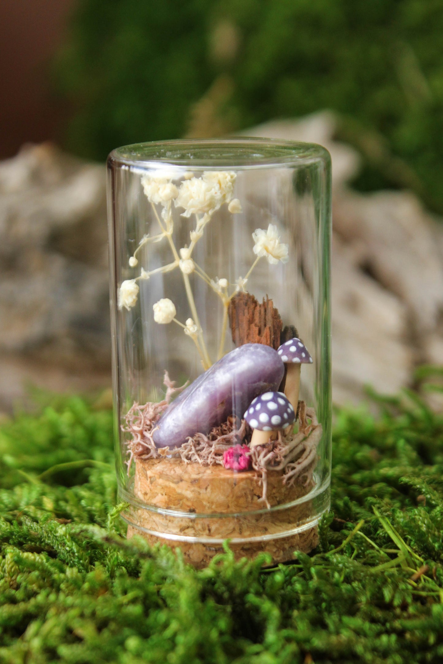 Miniature Mushroom Terrariums
