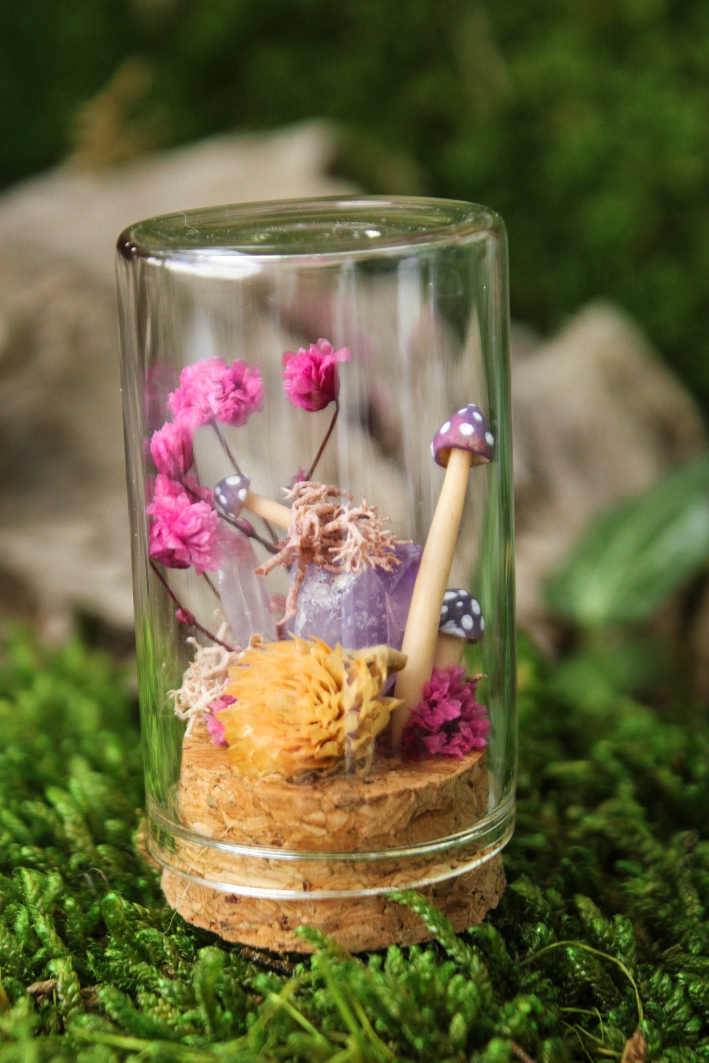 Miniature Mushroom Terrariums