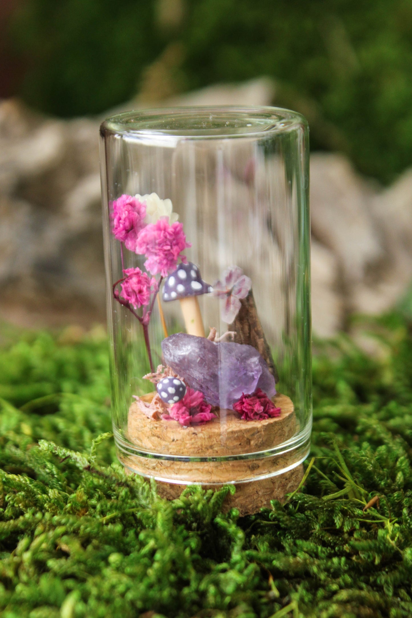 Miniature Mushroom Terrariums