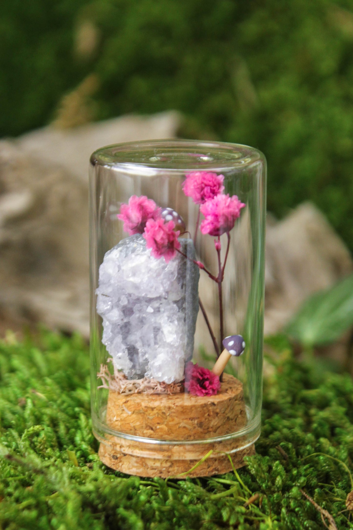 Miniature Mushroom Terrariums