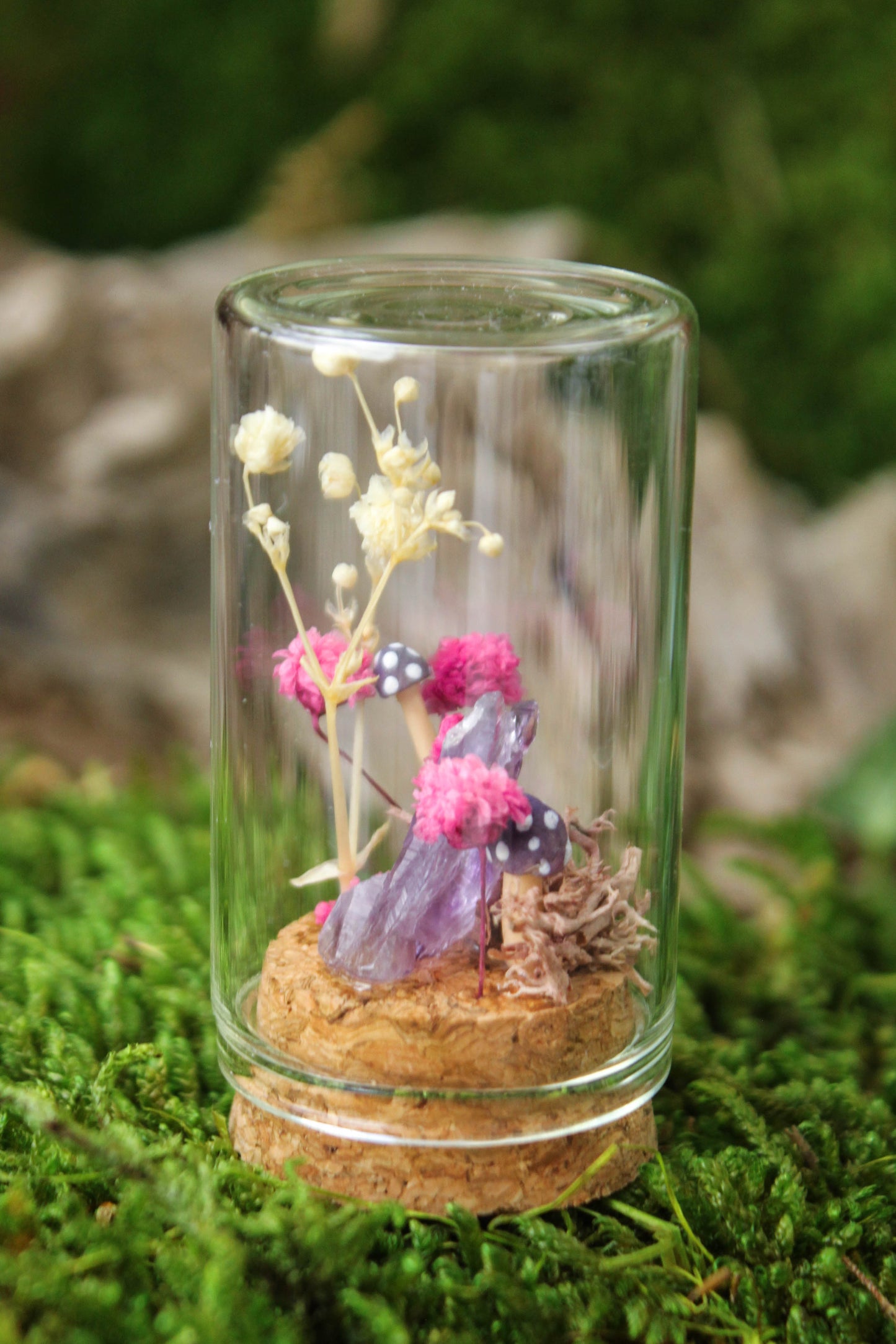 Miniature Mushroom Terrariums