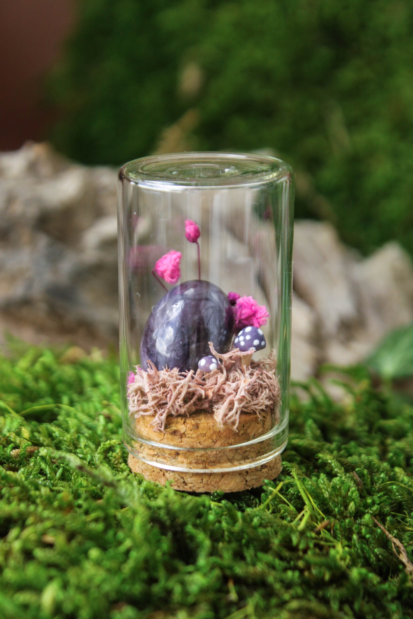 Miniature Mushroom Terrariums