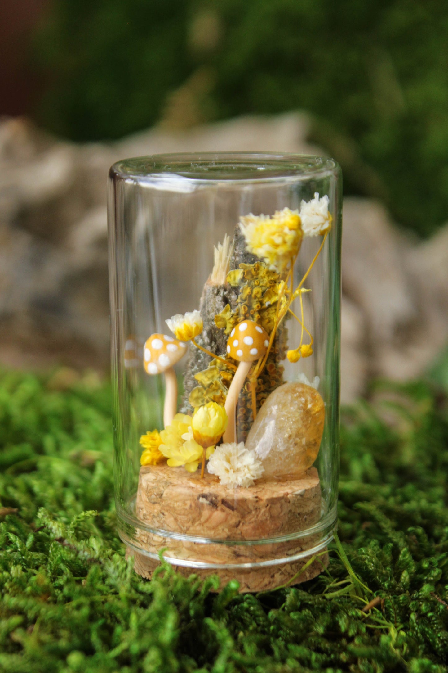 Miniature Mushroom Terrariums