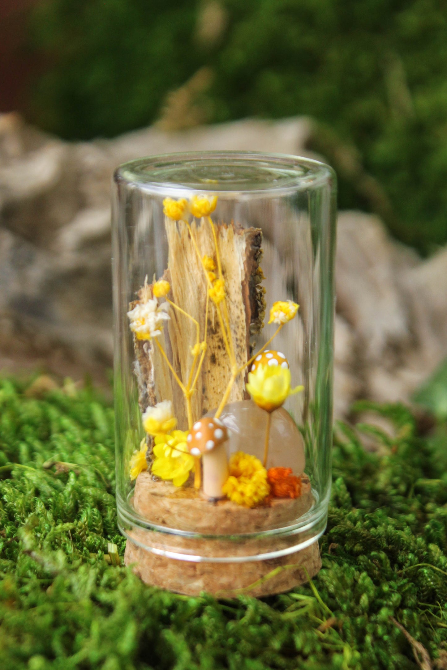 Miniature Mushroom Terrariums