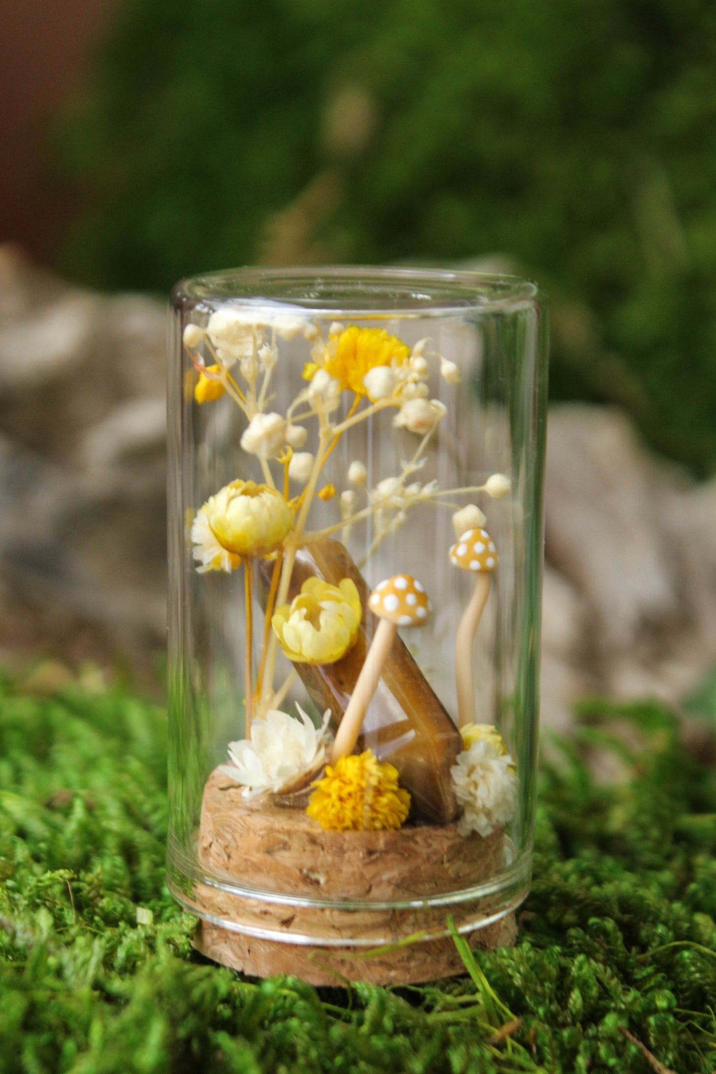 Miniature Mushroom Terrariums