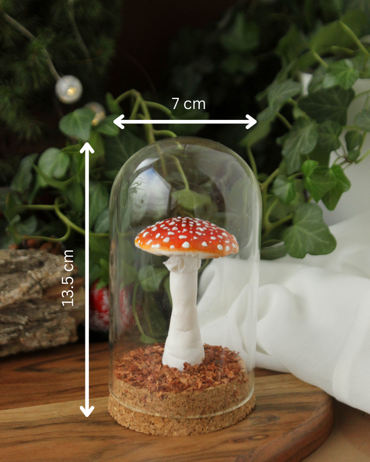Amanita Muscaria Medium Terrarium
