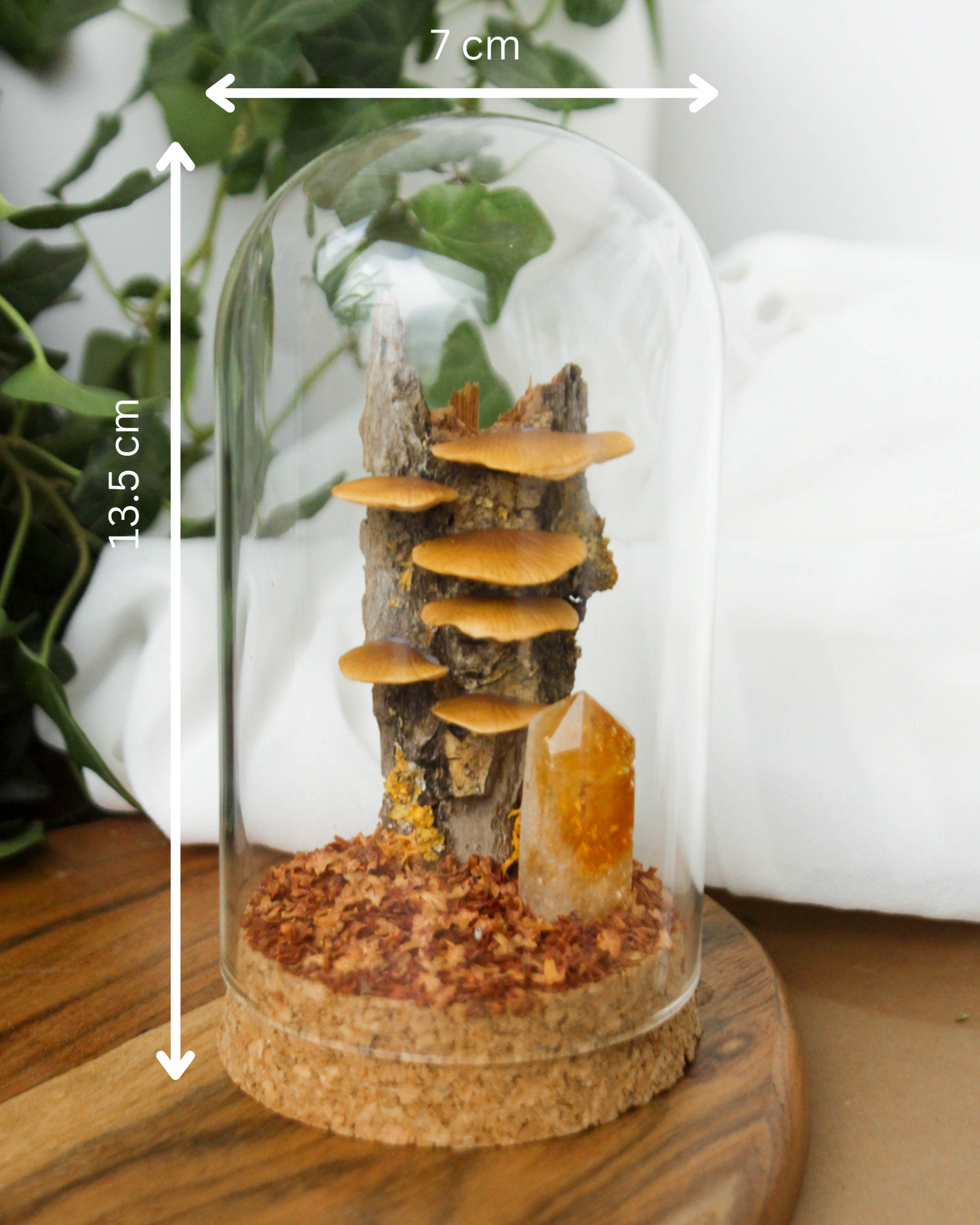 Tree Mushrooms Medium Terrarium with Citrine