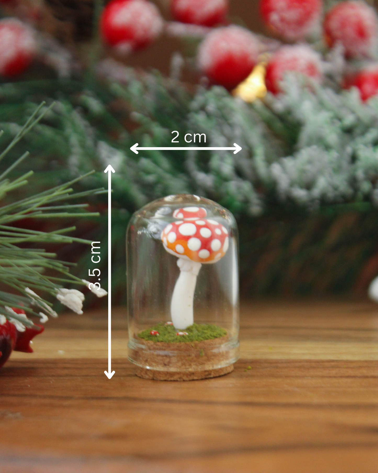 Amanita Terrarium Glass Dome