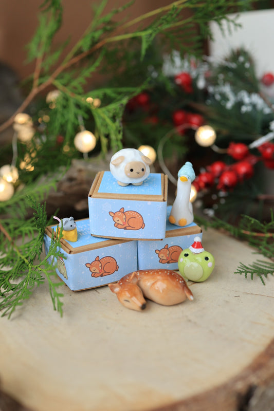Mystery Snowy Friends Box