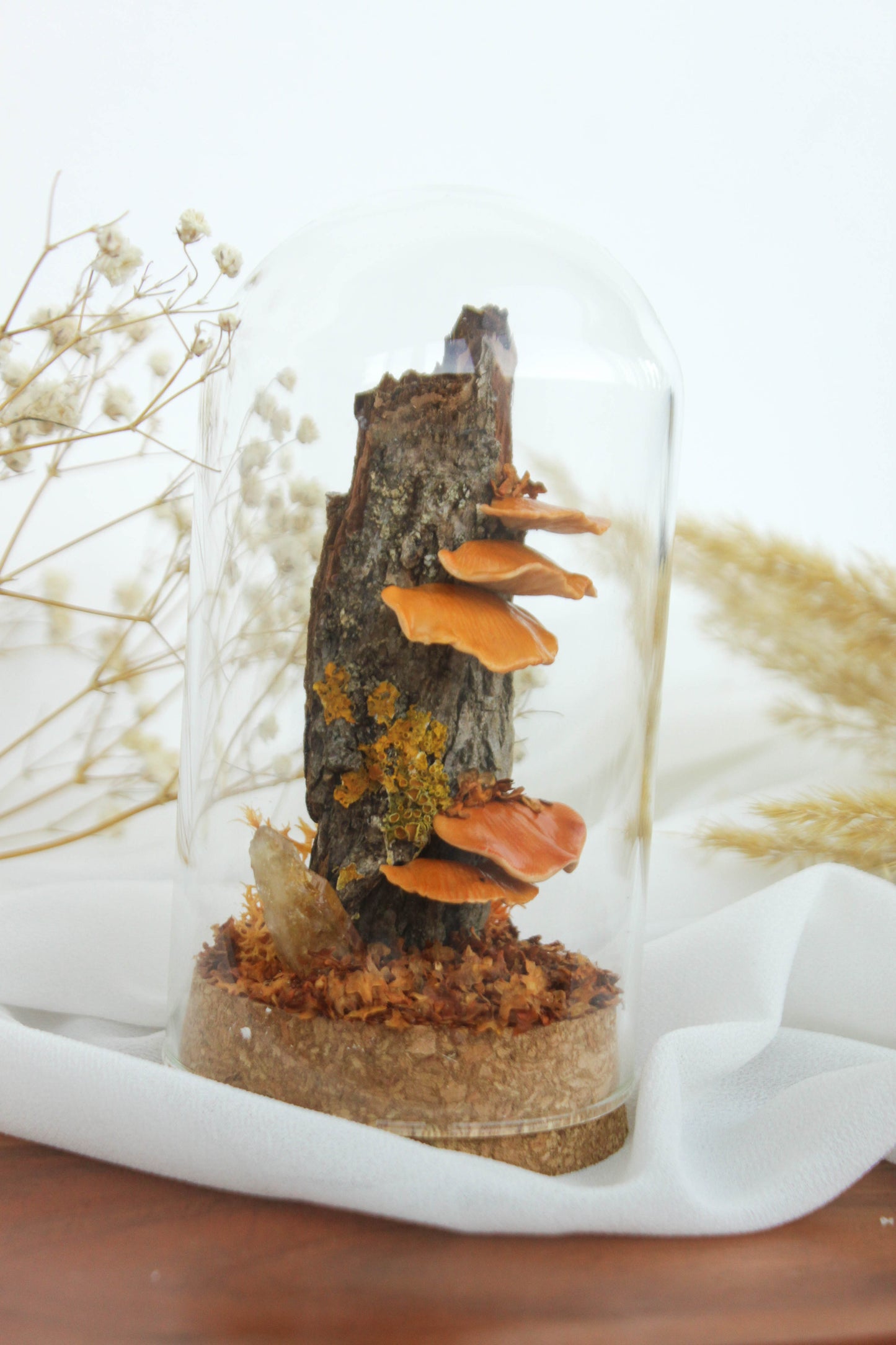 Tree Mushrooms Medium Terrarium with Citrine