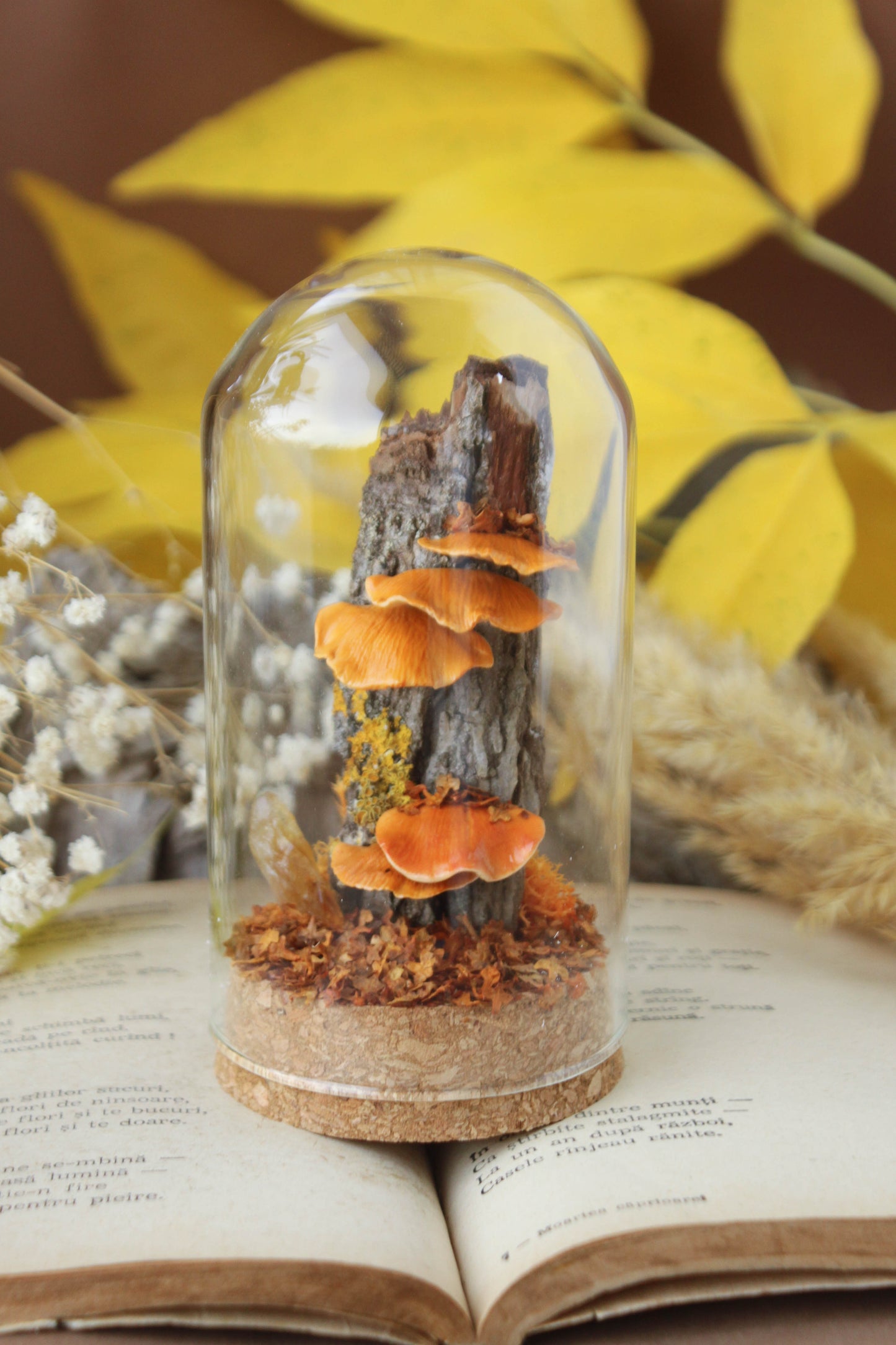 Tree Mushrooms Medium Terrarium with Citrine