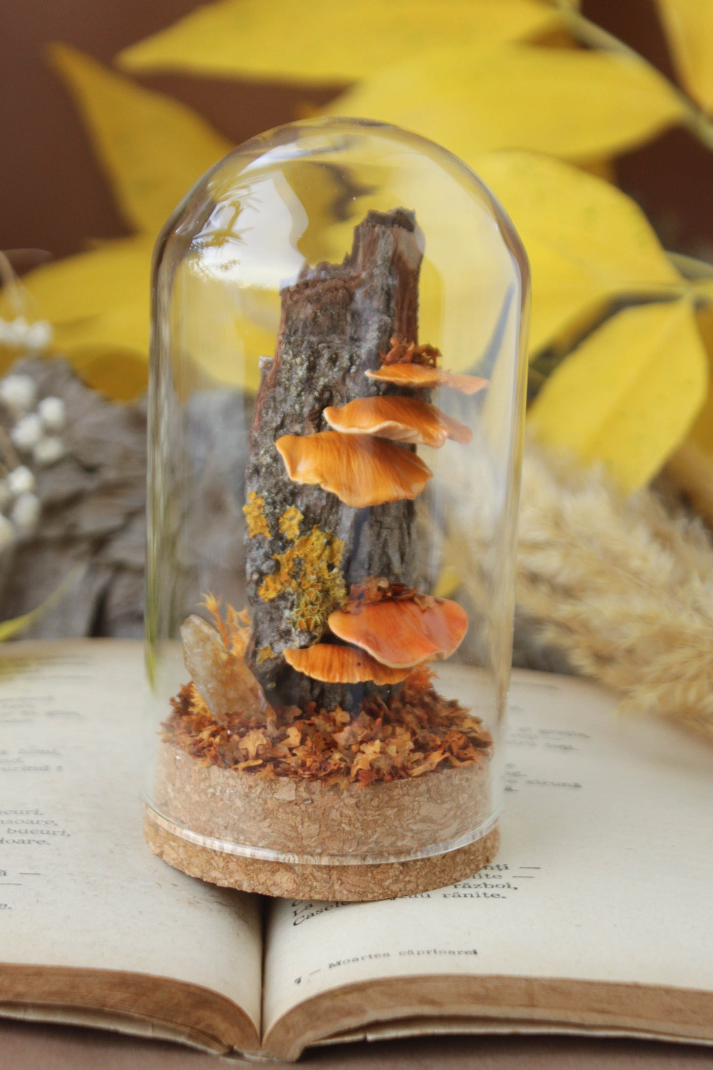 Tree Mushrooms Medium Terrarium with Citrine