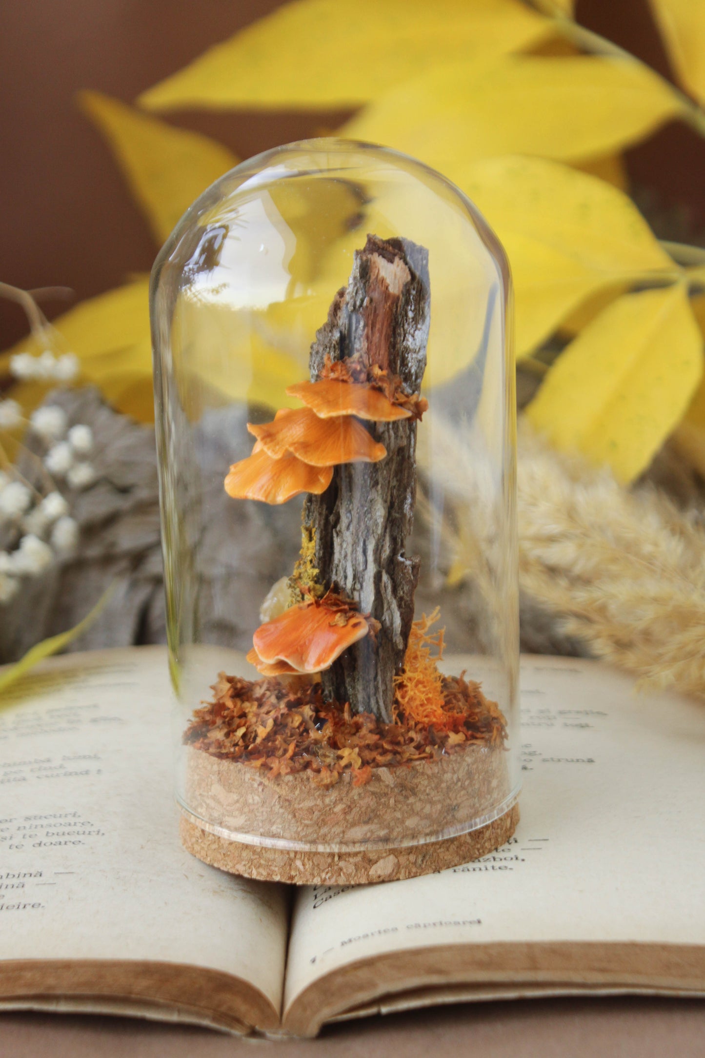 Tree Mushrooms Medium Terrarium with Citrine