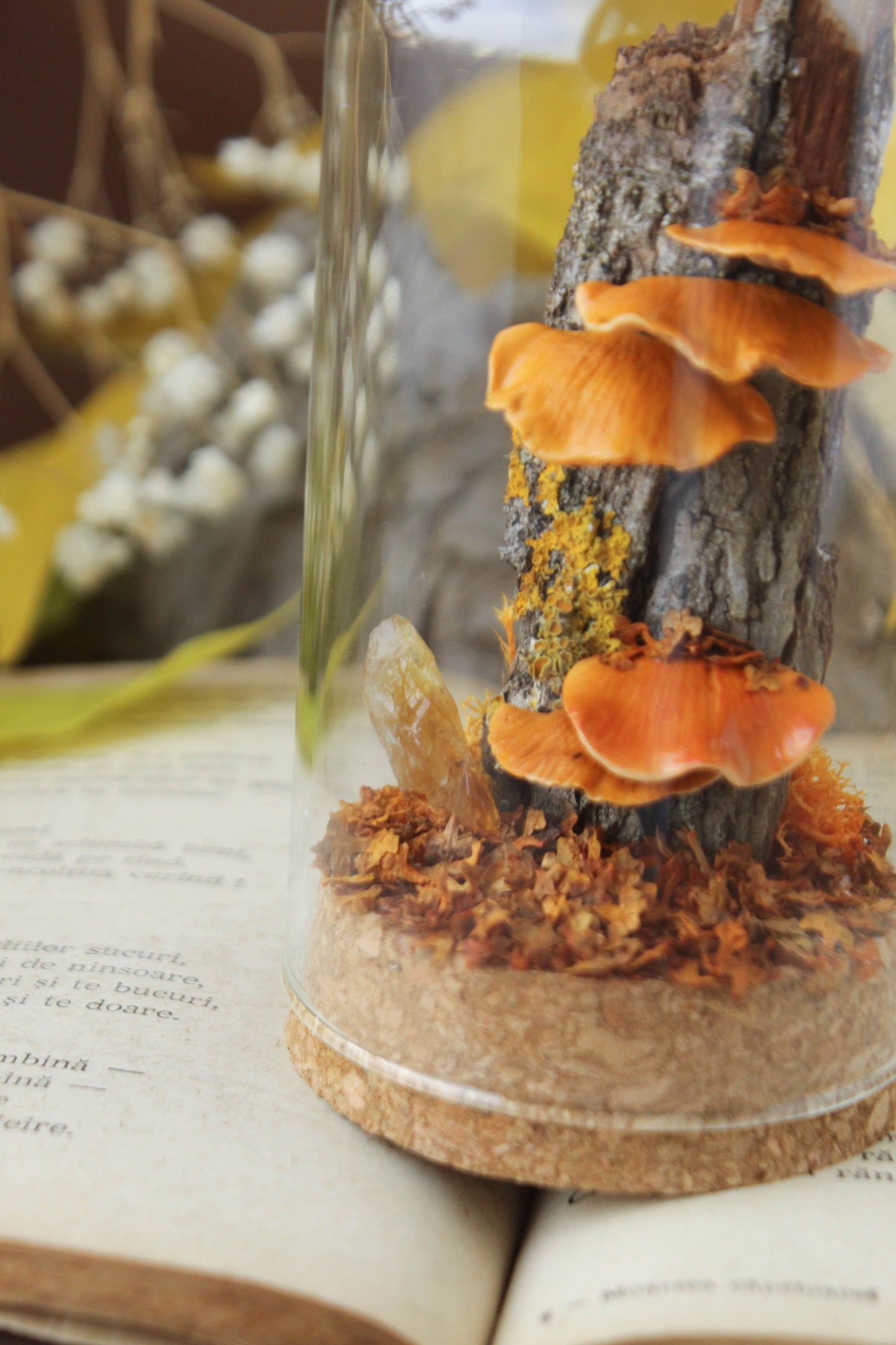 Tree Mushrooms Medium Terrarium with Citrine