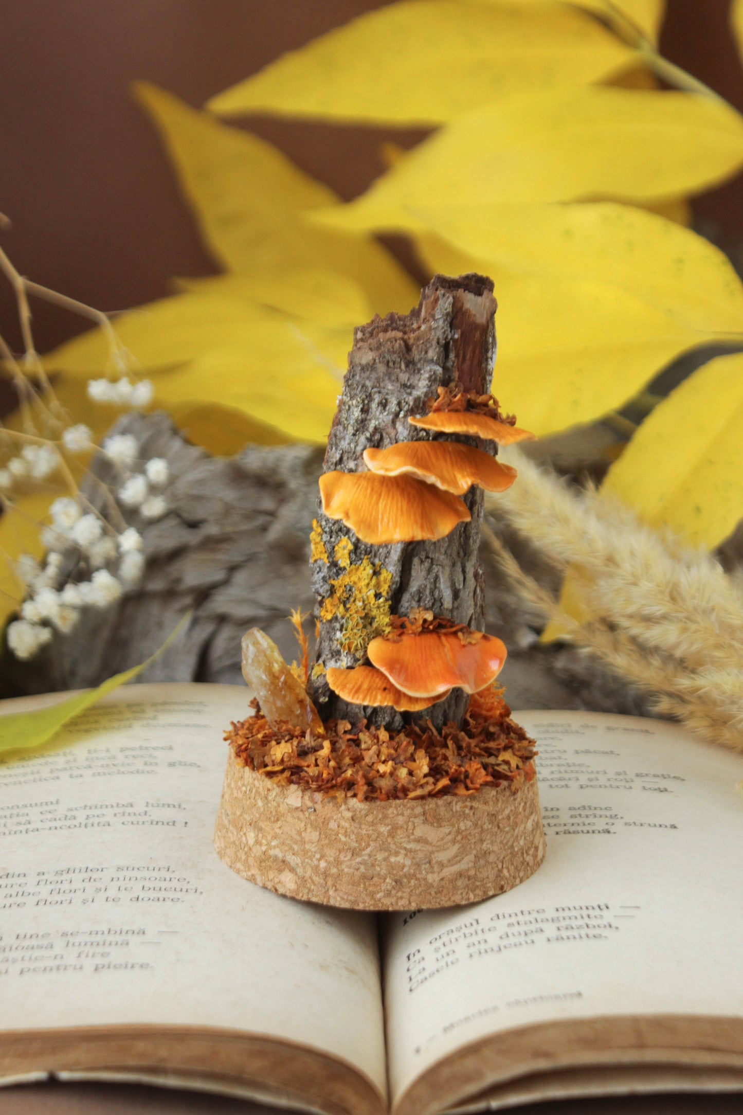 Tree Mushrooms Medium Terrarium with Citrine