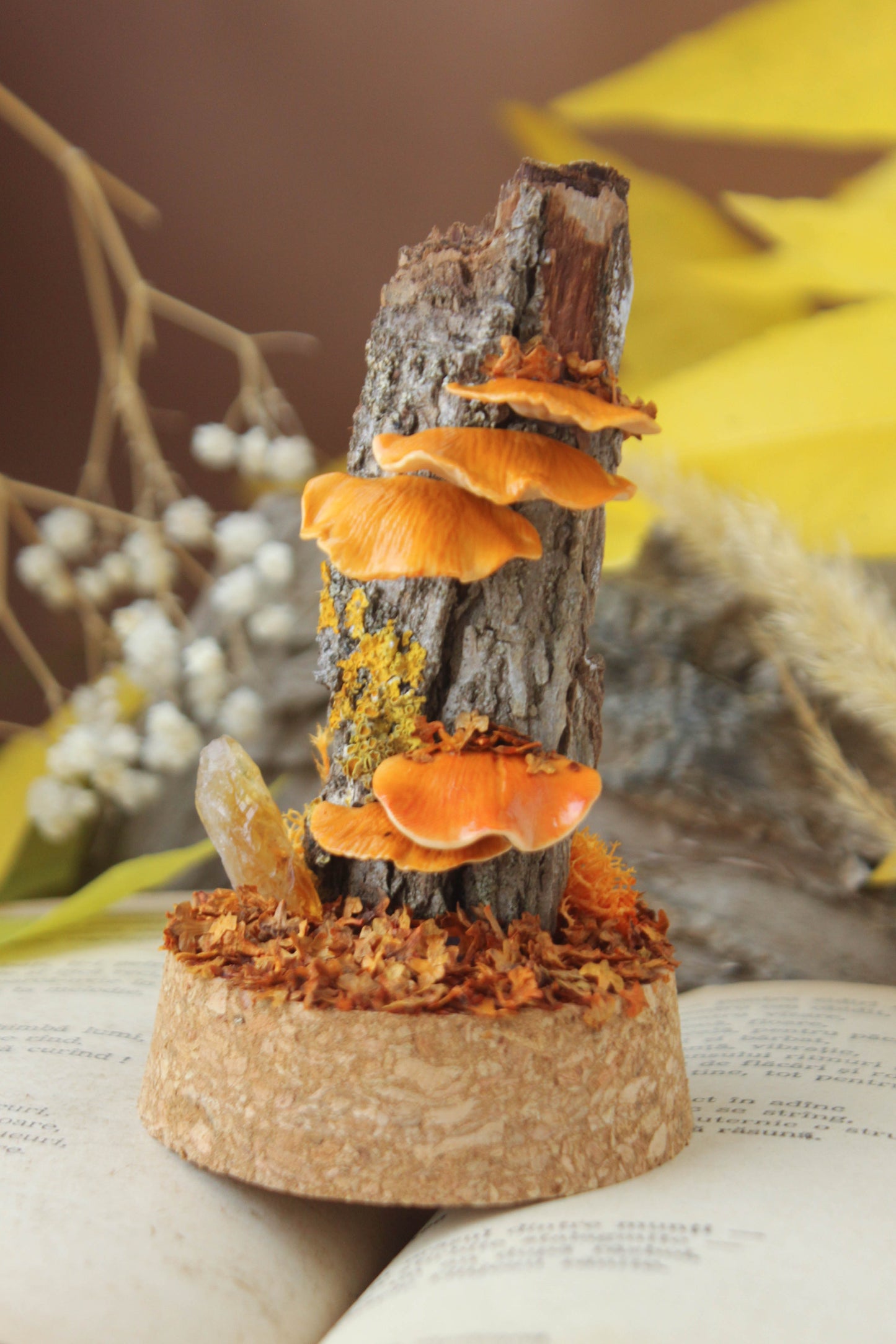 Tree Mushrooms Medium Terrarium with Citrine