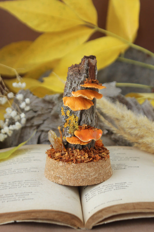 Tree Mushrooms Medium Terrarium with Citrine