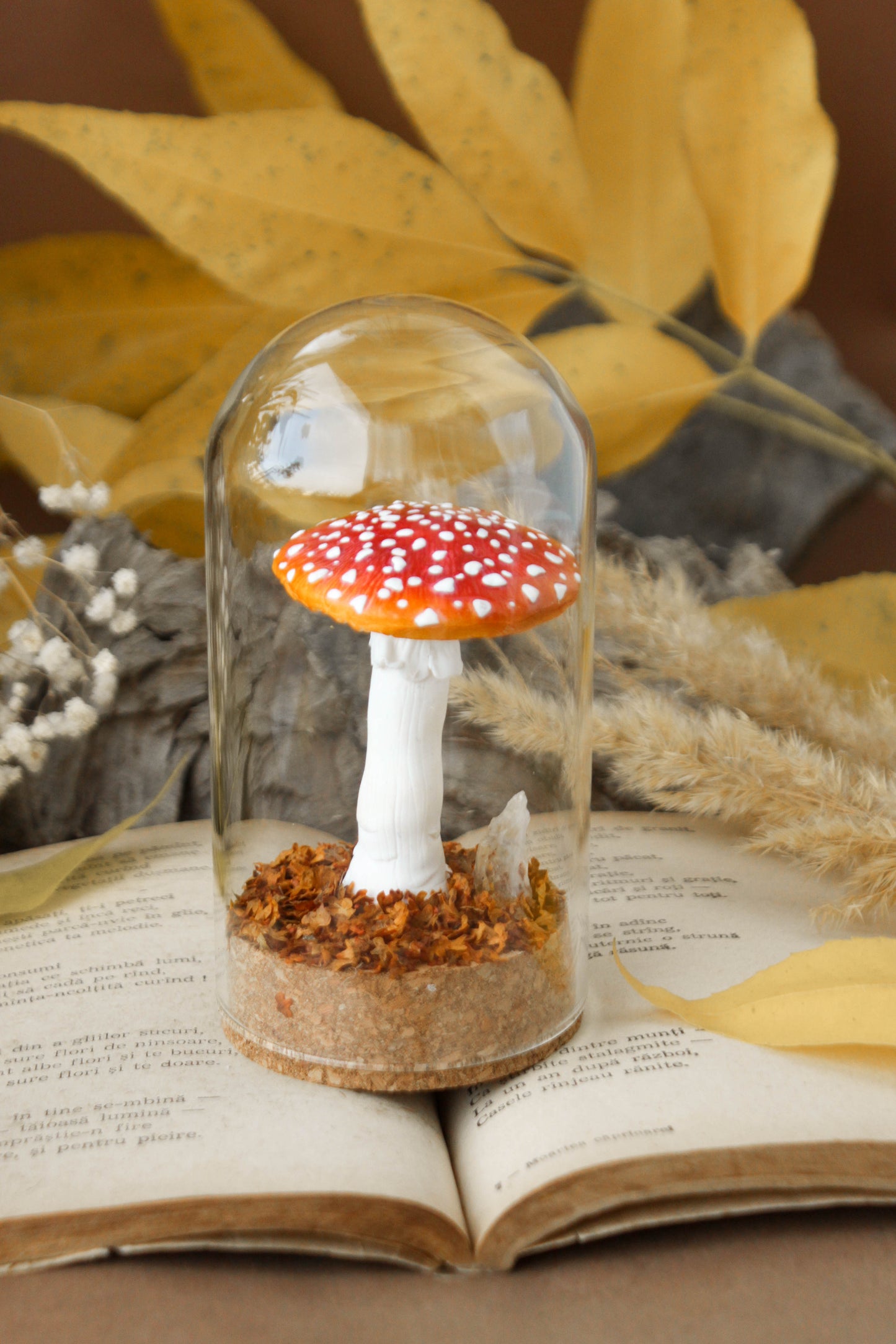 Amanita Muscaria Medium Terrarium with Citrine