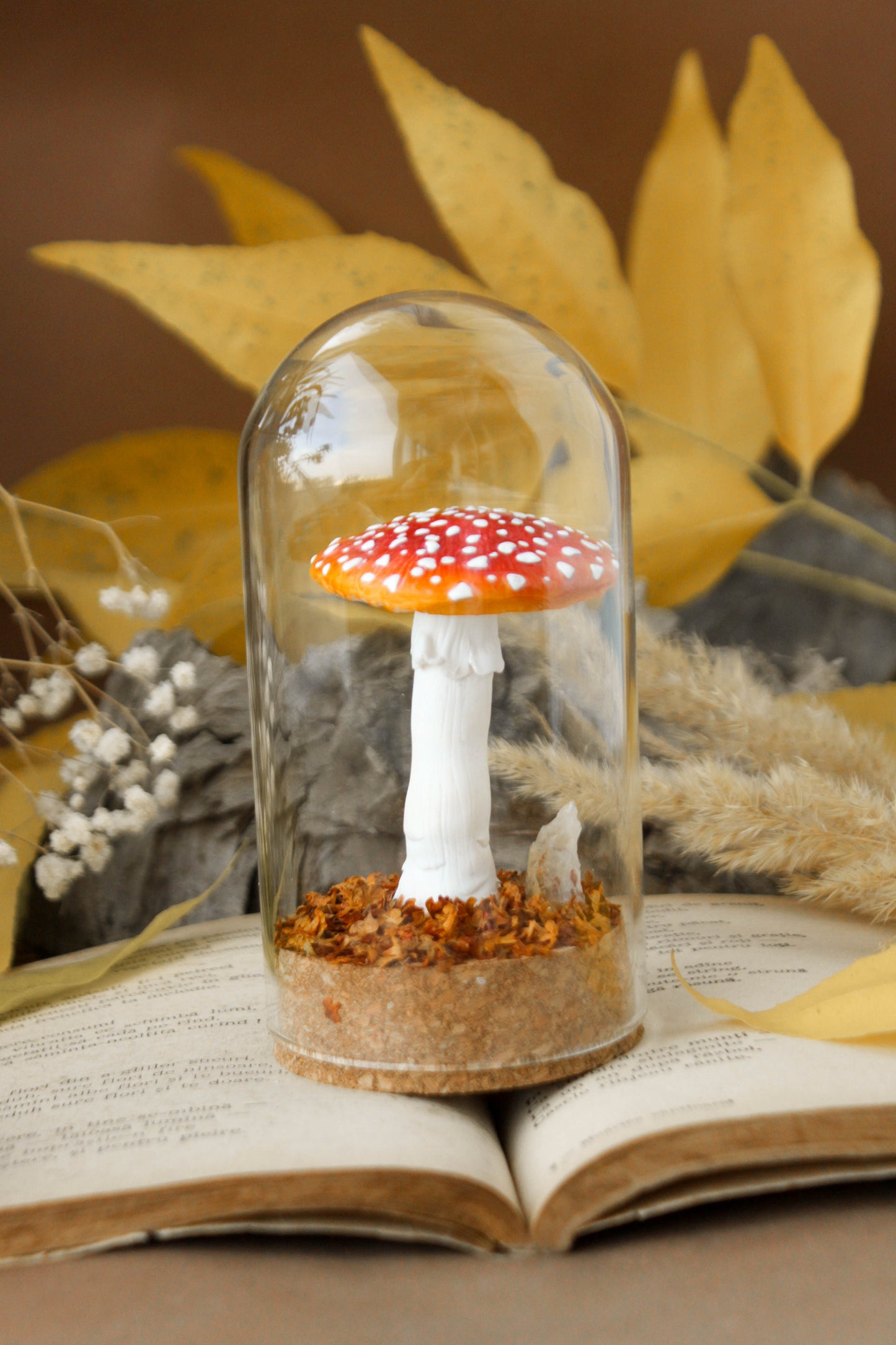 Amanita Muscaria Medium Terrarium with Citrine