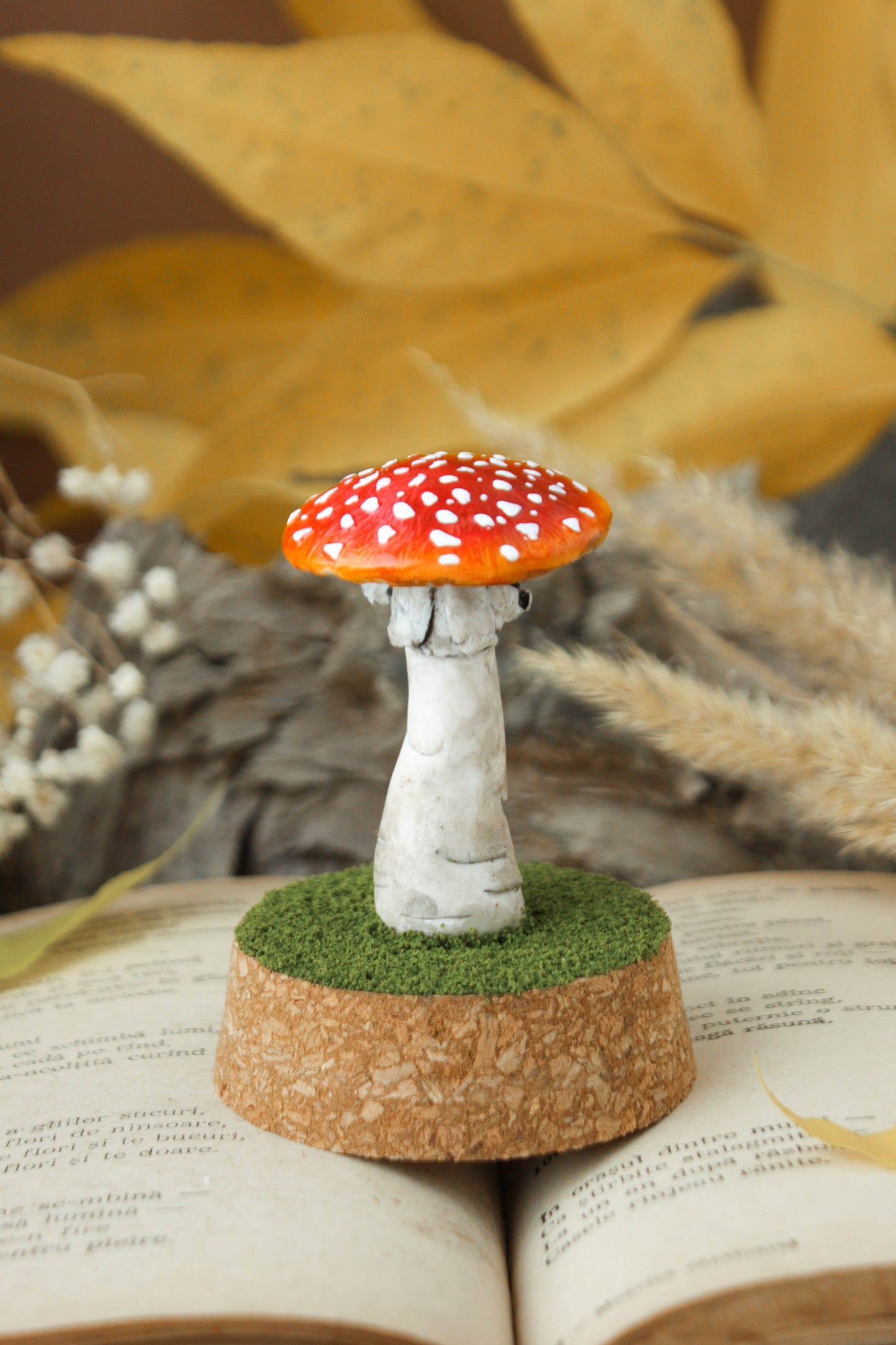 Amanita Muscaria Medium Terrarium