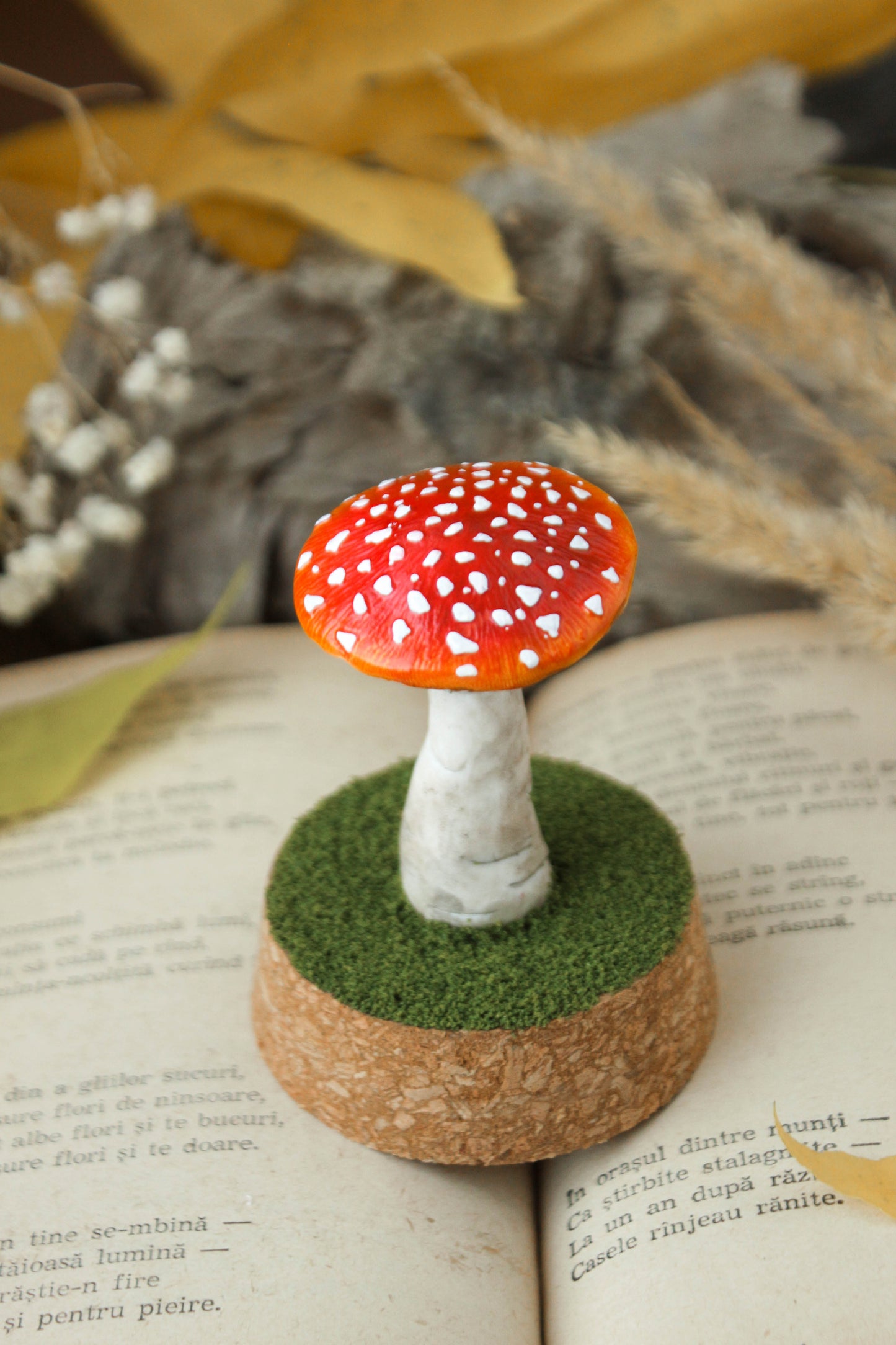 Amanita Muscaria Medium Terrarium