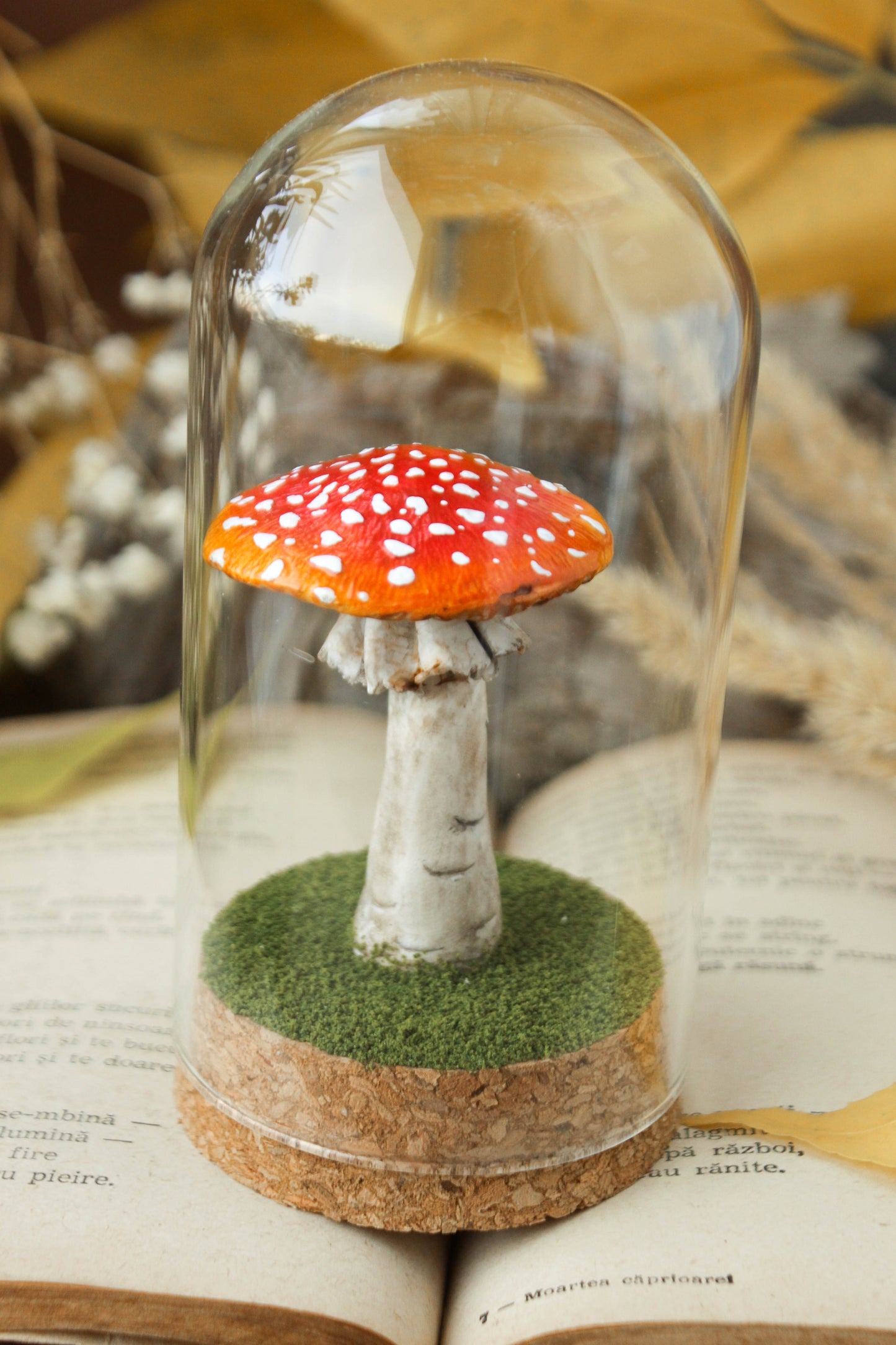 Amanita Muscaria Medium Terrarium