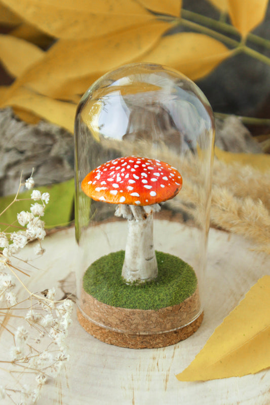 Amanita Muscaria Medium Terrarium