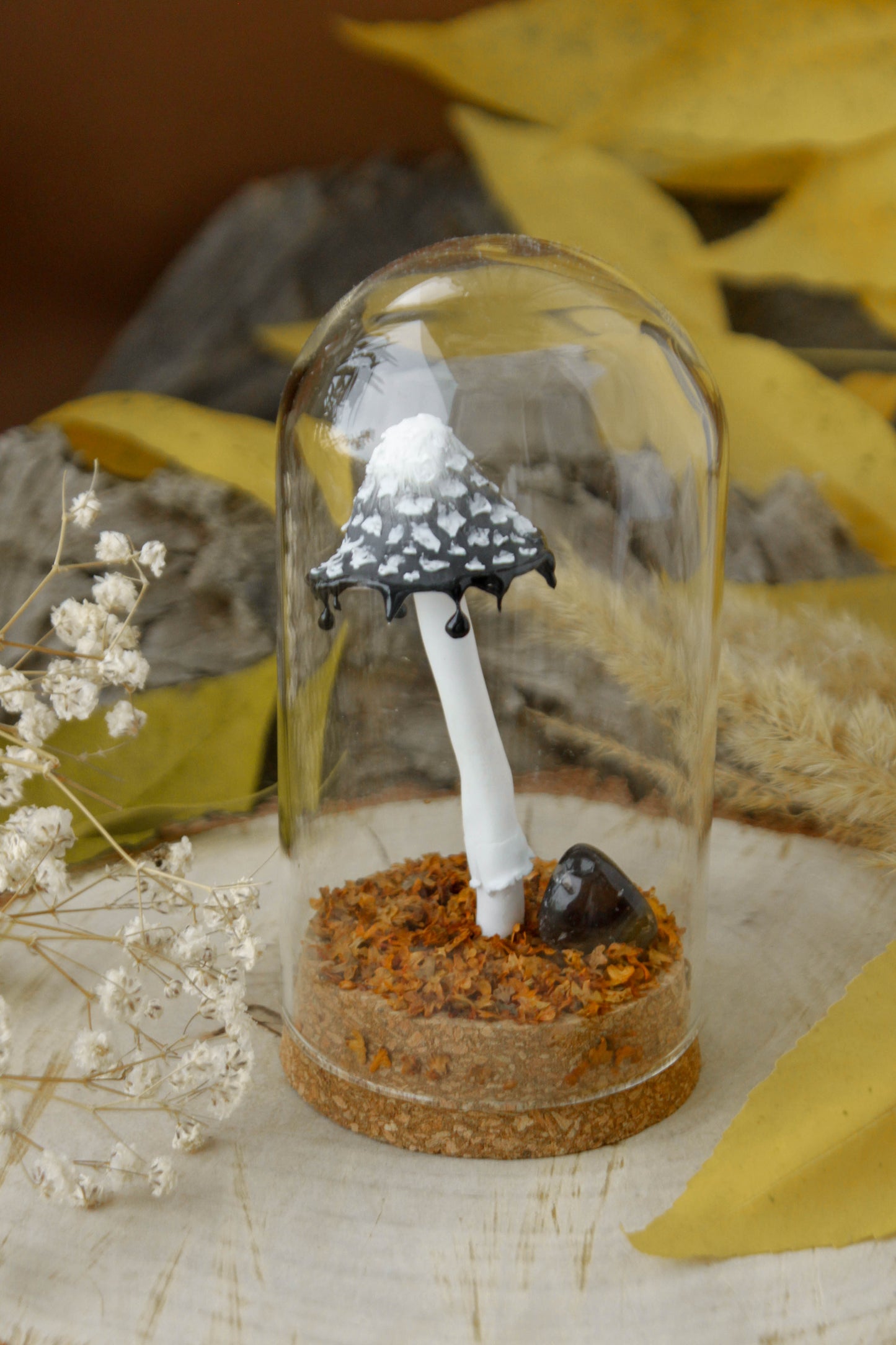 Inkcap Mushroom Medium Terrarium with Obsidian