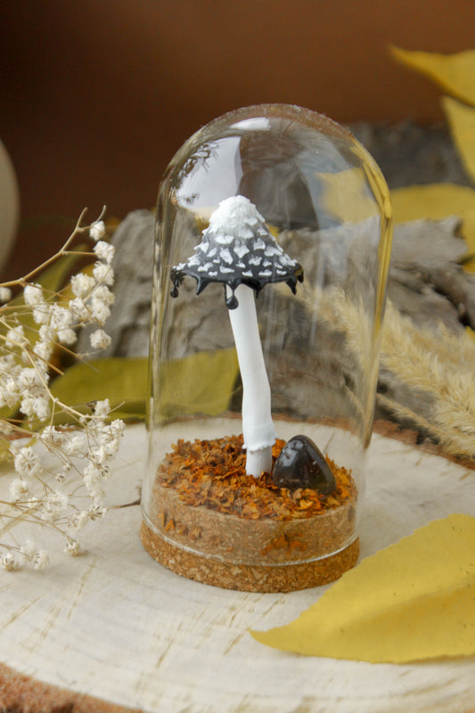 Inkcap Mushroom Medium Terrarium with Obsidian