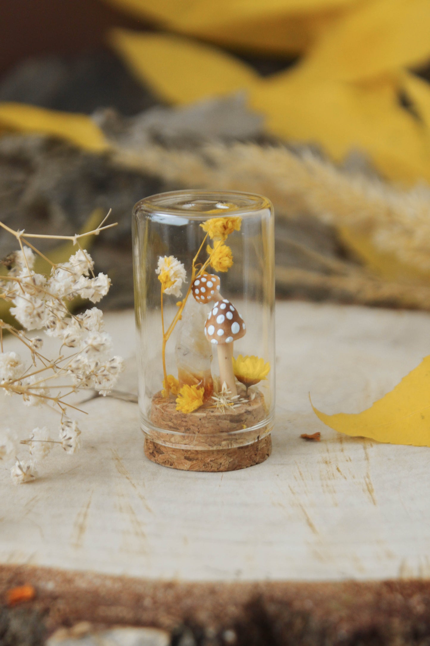 Miniature Crystal Terrariums