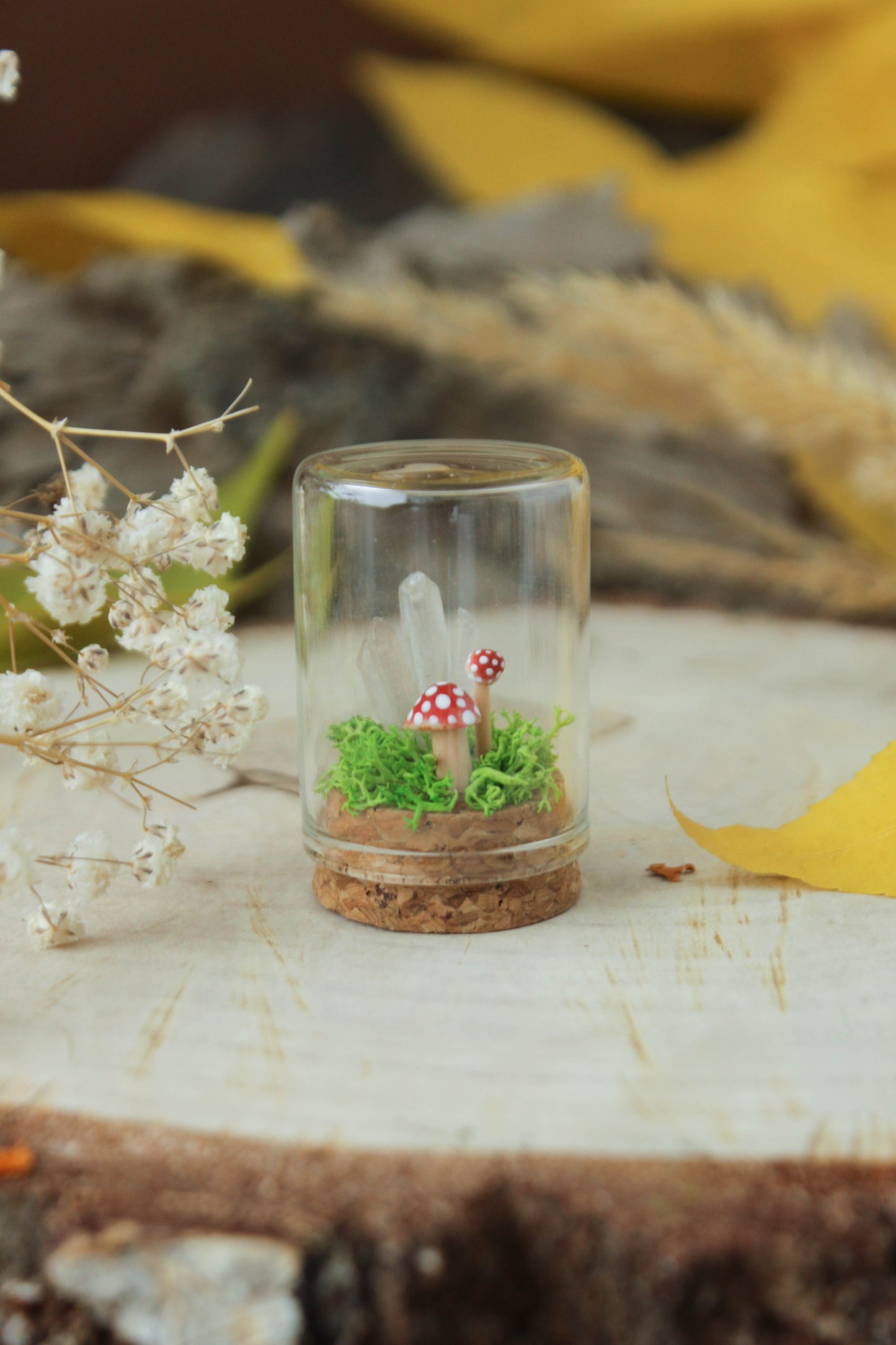 Miniature Crystal Terrariums