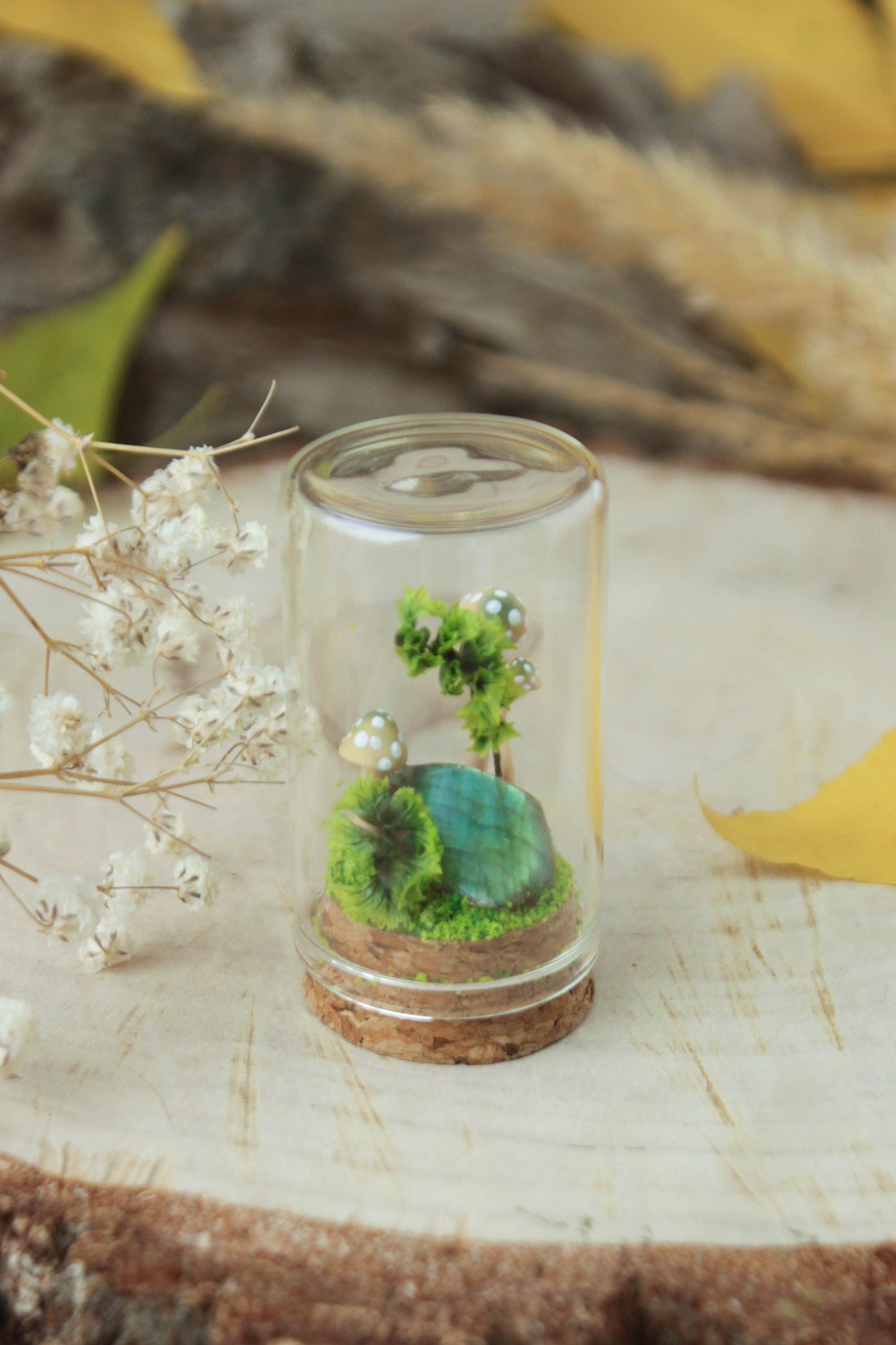 Miniature Crystal Terrariums