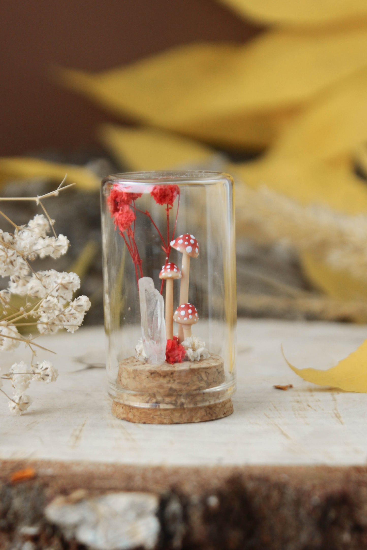 Miniature Crystal Terrariums