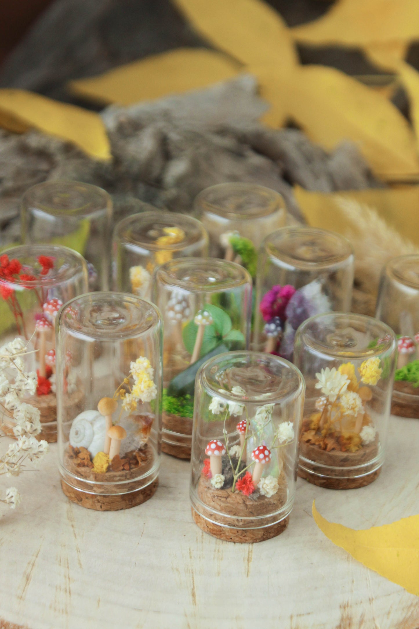 Miniature Crystal Terrariums