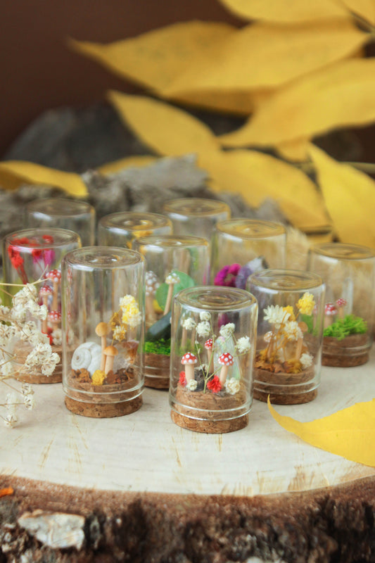 Miniature Crystal Terrariums