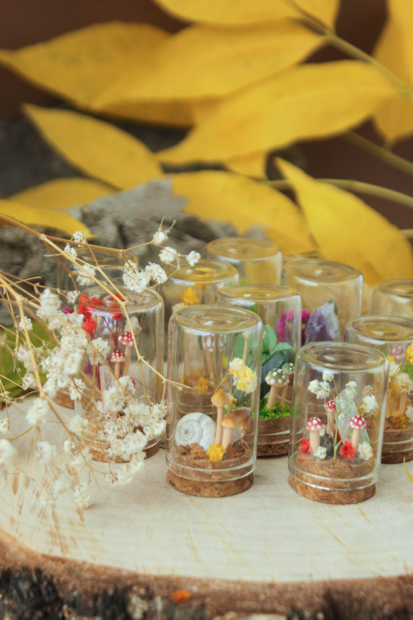 Miniature Crystal Terrariums