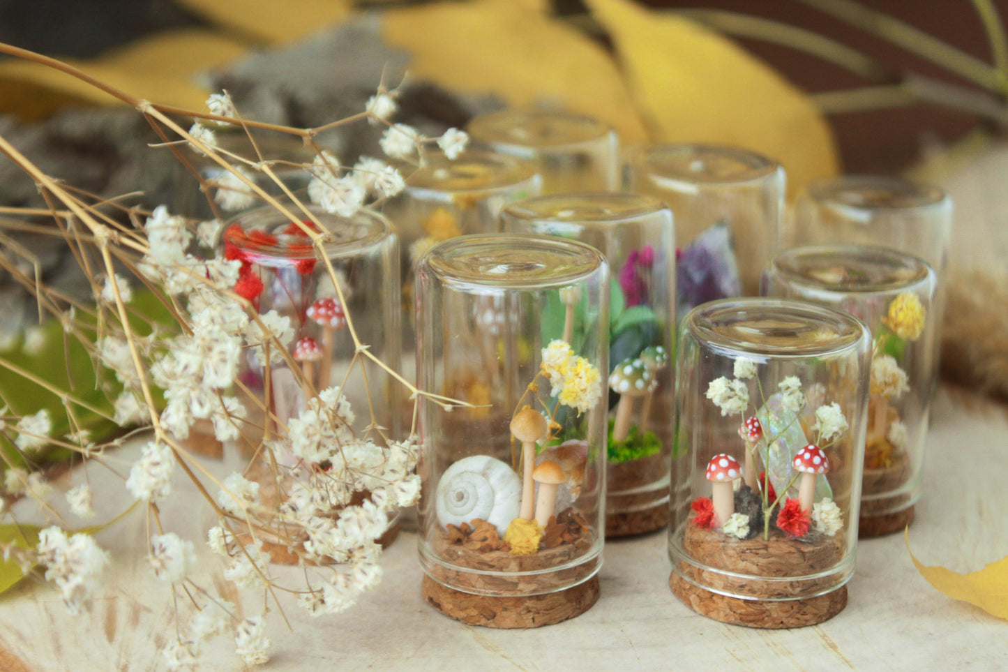 Miniature Crystal Terrariums