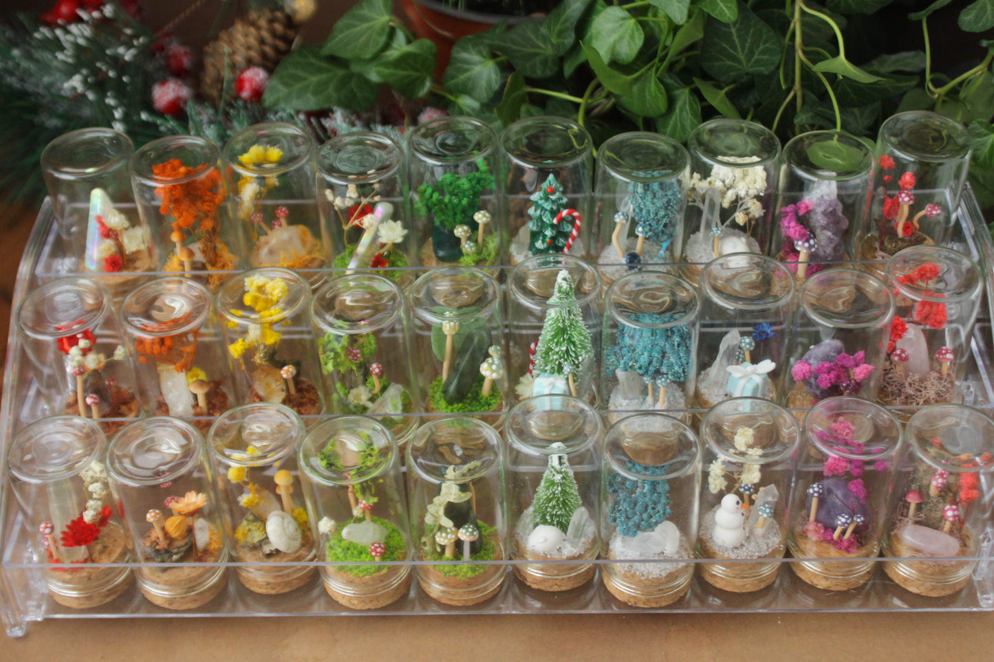 Miniature Crystal and Mushroom Terrariums