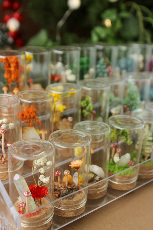 Miniature Crystal and Mushroom Terrariums