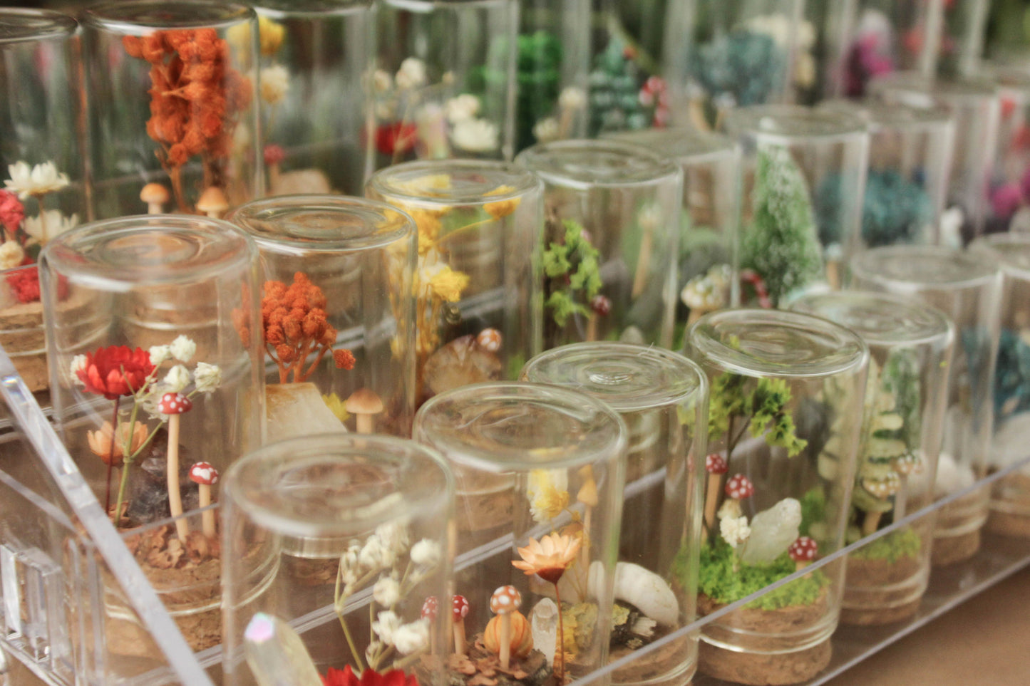 Miniature Crystal and Mushroom Terrariums