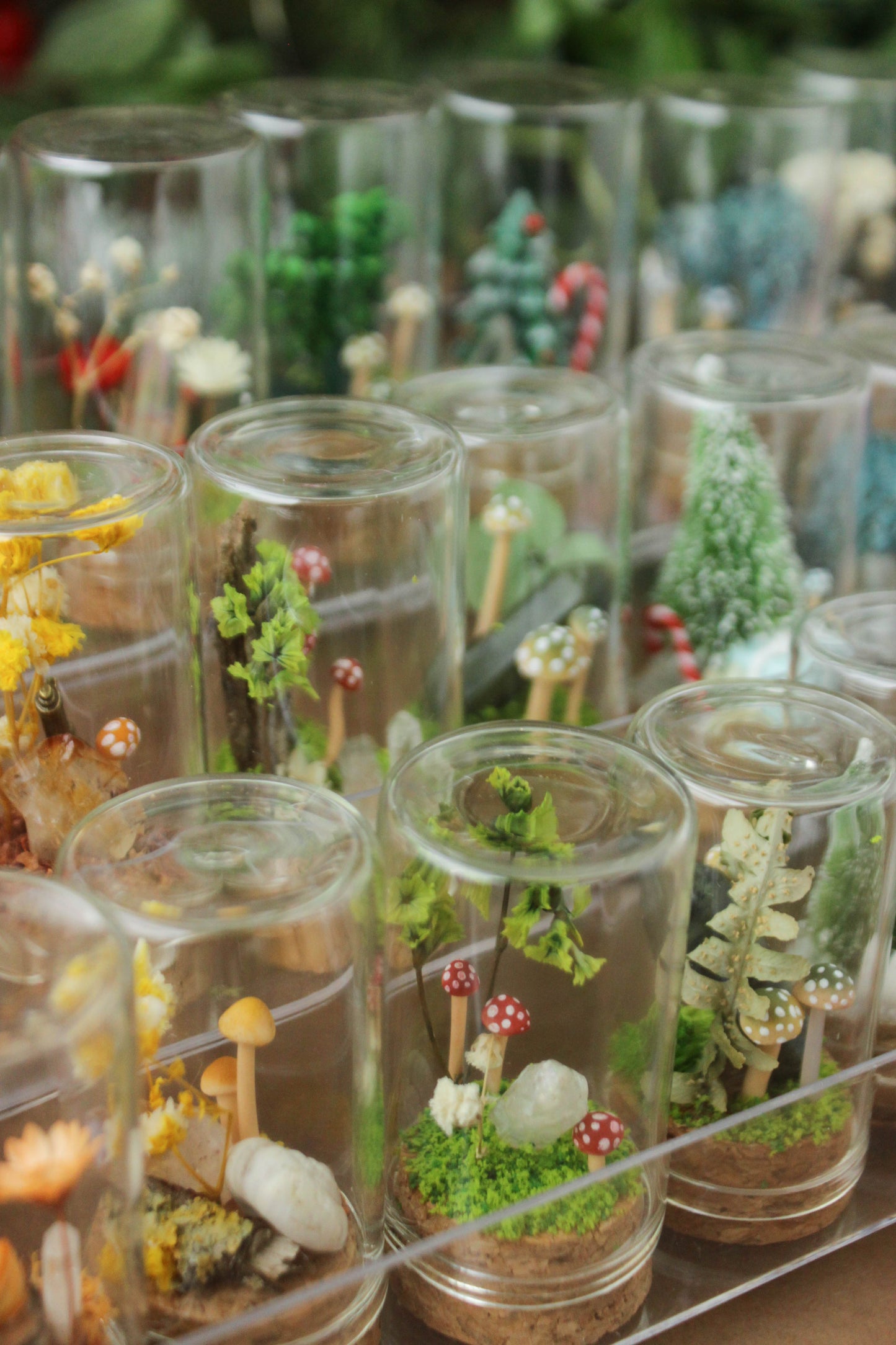 Miniature Crystal and Mushroom Terrariums