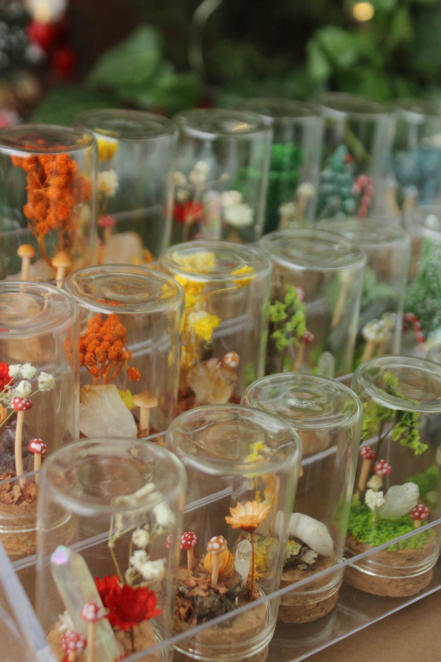 Miniature Crystal and Mushroom Terrariums