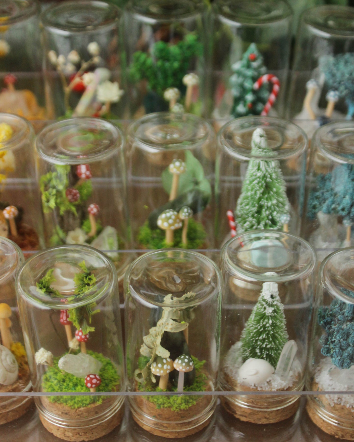 Miniature Crystal and Mushroom Terrariums