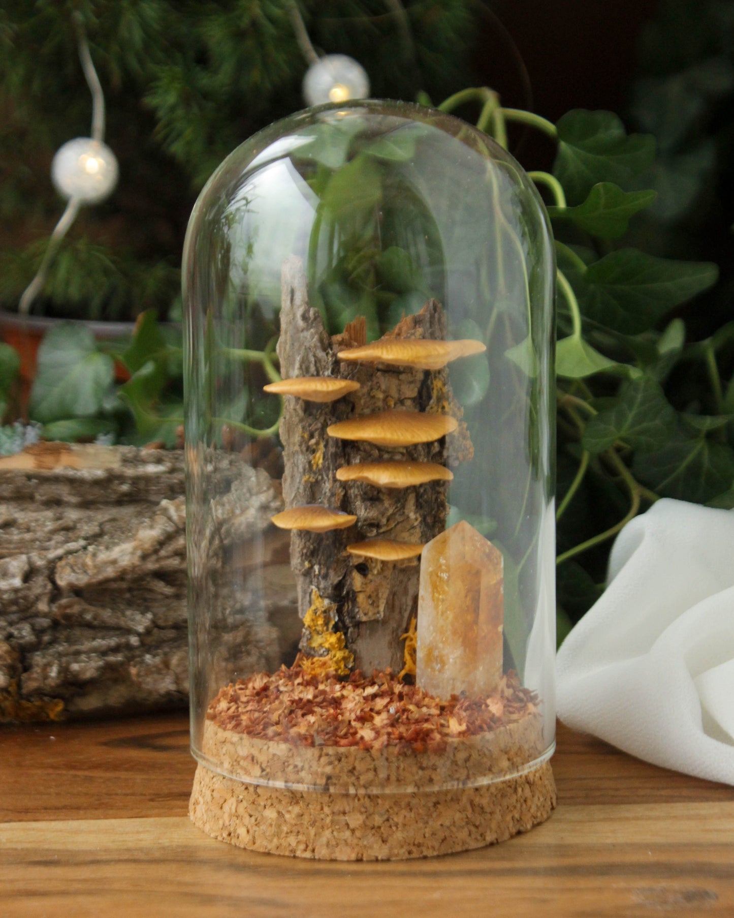 Tree Mushrooms Medium Terrarium with Citrine