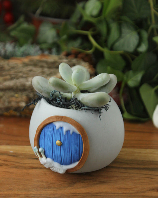 Hobbit House Plant Pot Winter Edition Bright Blue