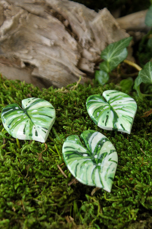 Monstera Leaf Pin