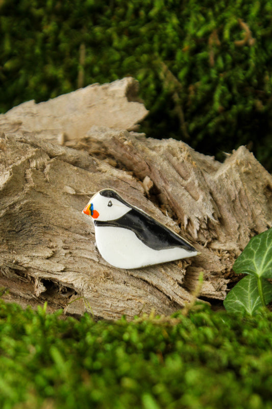 Puffin Clay Pin